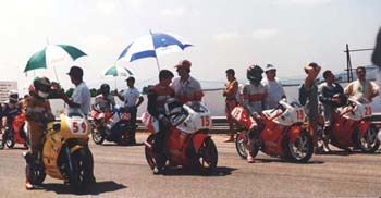 PRIMERA LINEA para Romeromotos team